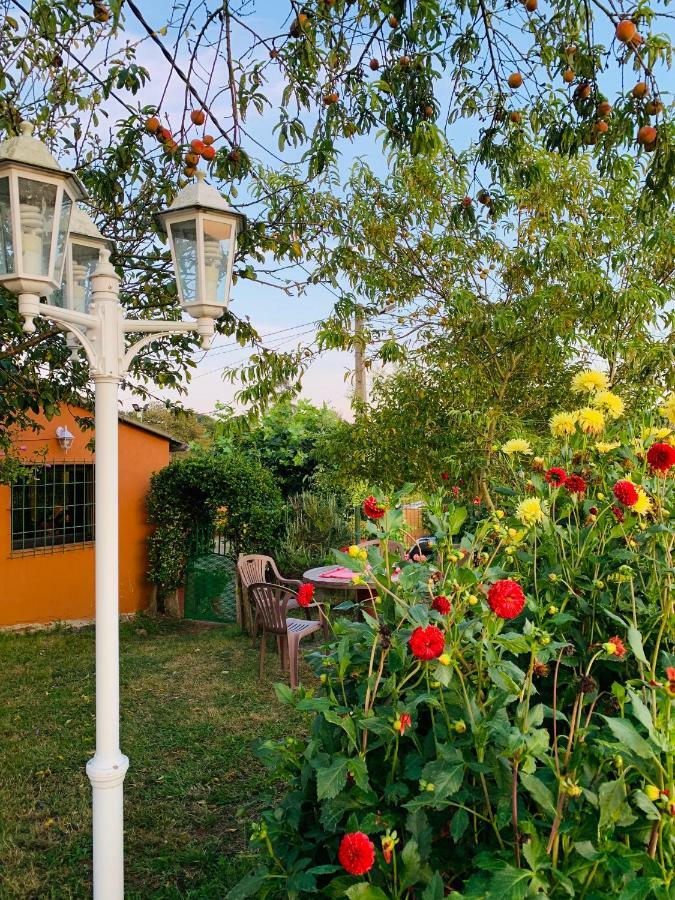 Vivienda Vacacional El Majo Siero Extérieur photo